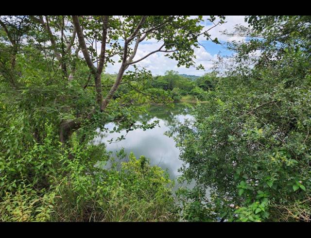 742,854M² FARM FOR SALE IN LEVUBU